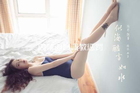 囚禁道具调教惩罚